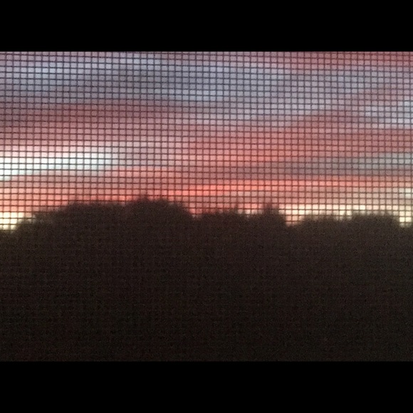 Meet your Posher, Ali - Picture 1 of 1